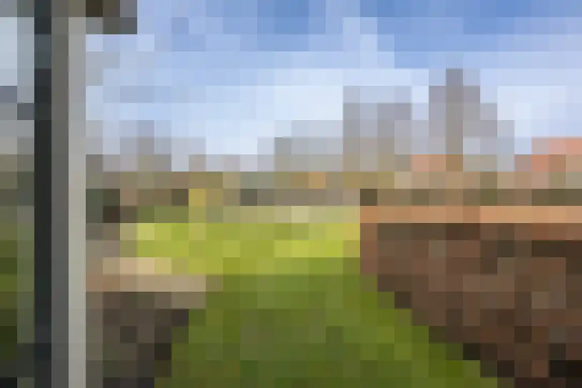 Hoge Pad 17 Ouddorp thumbnail 56