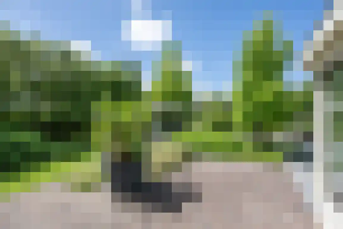 Hoge Pad 17 Ouddorp thumbnail 56
