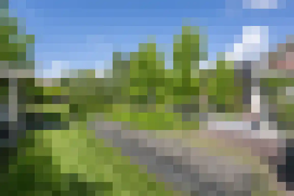 Hoge Pad 17 Ouddorp thumbnail 57