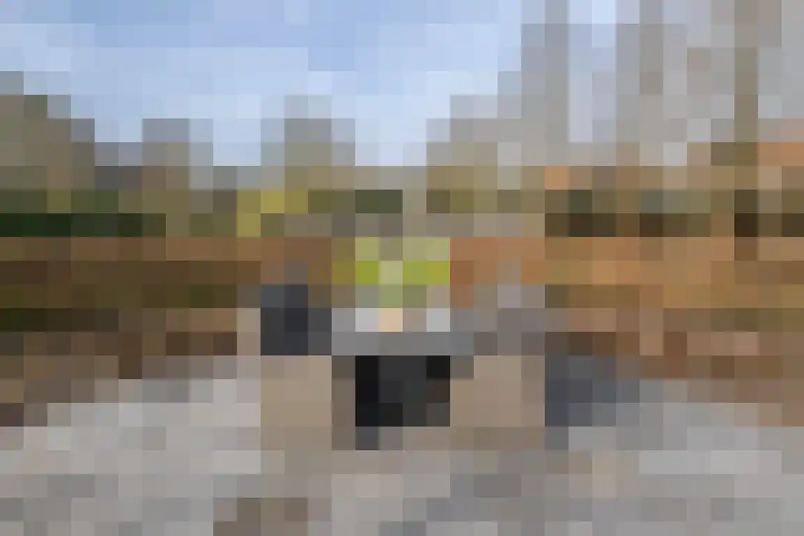 Hoge Pad 17 Ouddorp thumbnail 58
