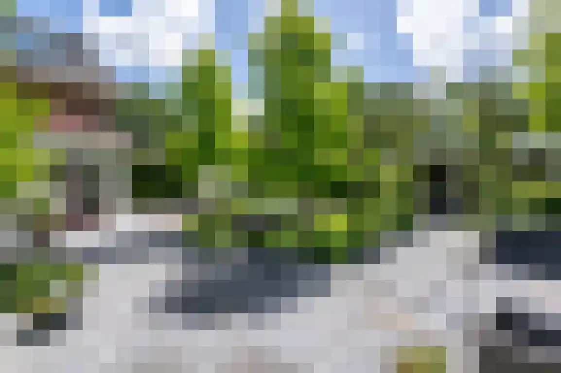Hoge Pad 17 Ouddorp thumbnail 58