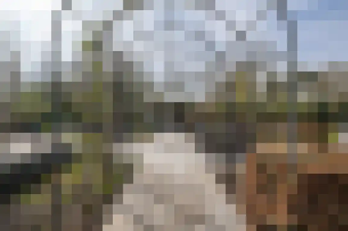 Hoge Pad 17 Ouddorp thumbnail 59