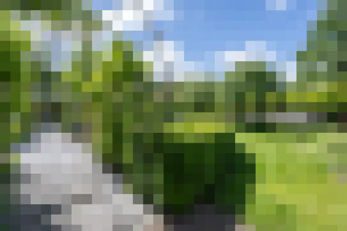 Hoge Pad 17 Ouddorp thumbnail 59