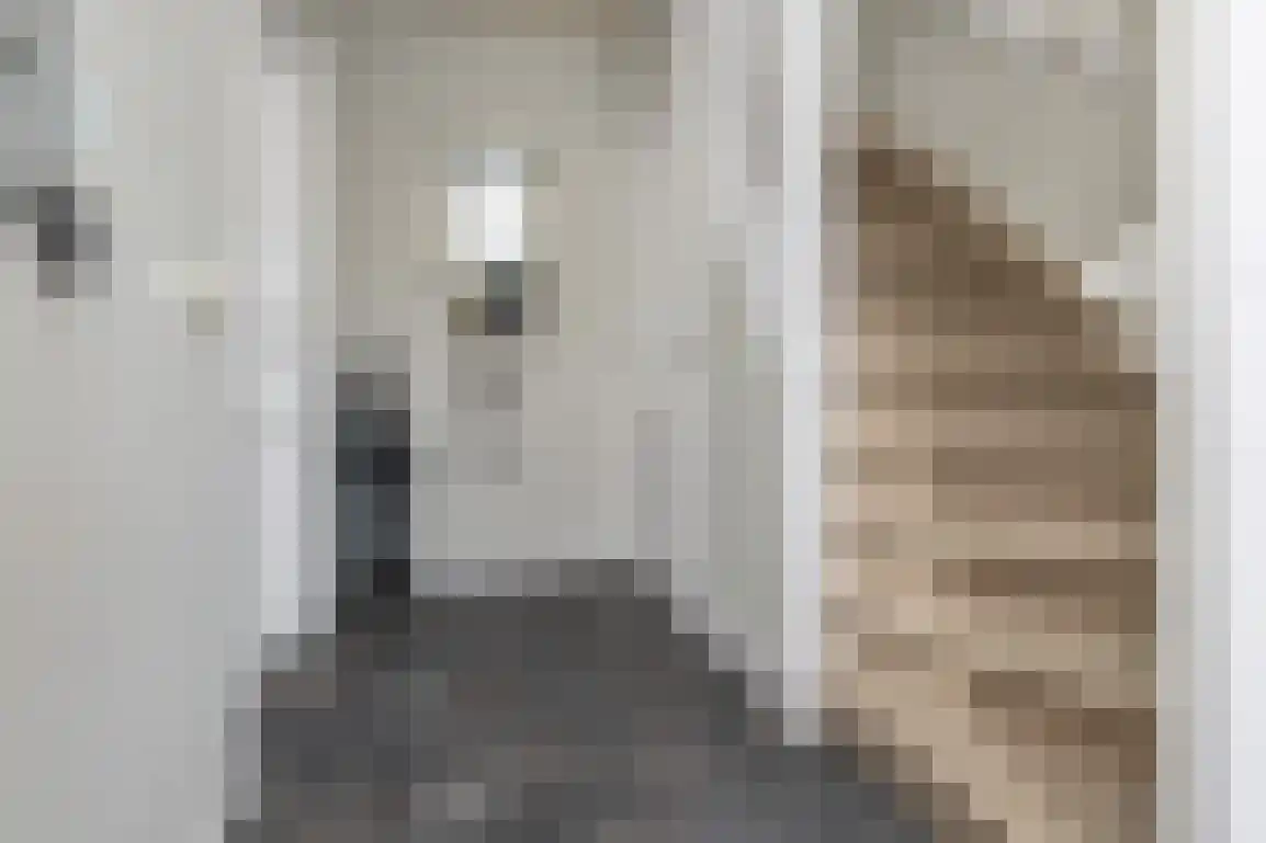 Hoge Pad 17 Ouddorp thumbnail 6