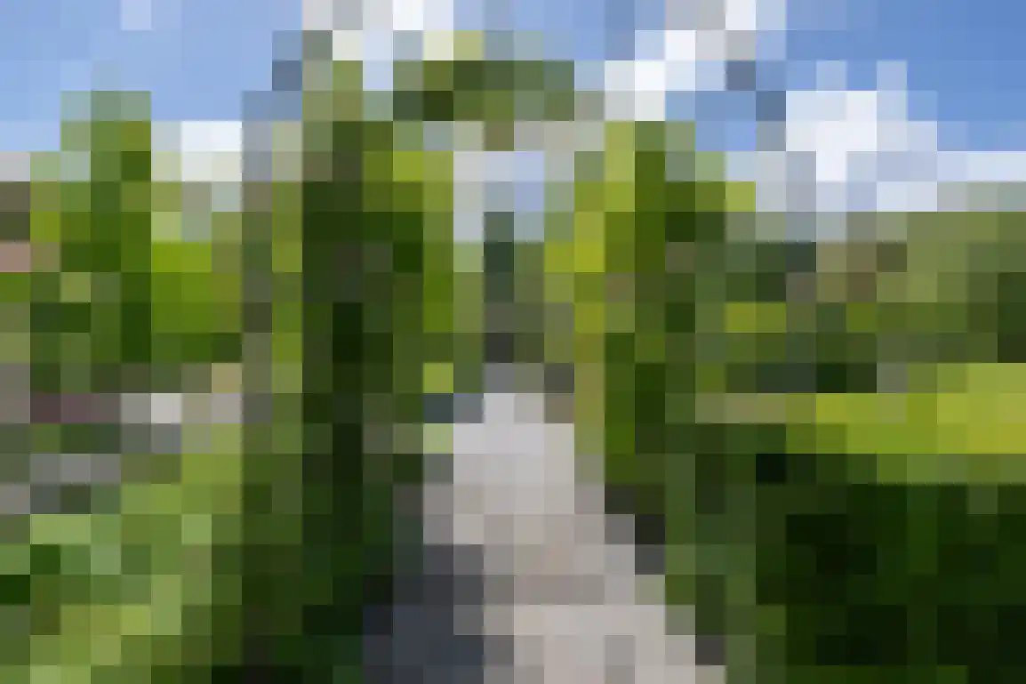 Hoge Pad 17 Ouddorp thumbnail 60