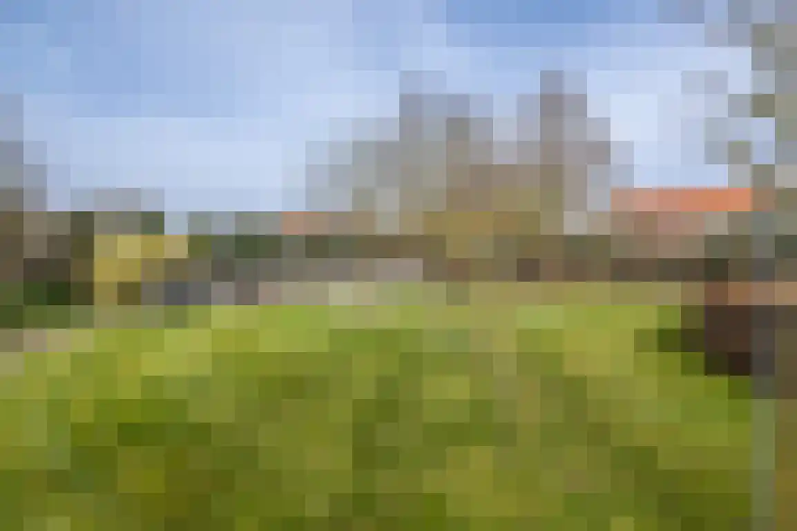 Hoge Pad 17 Ouddorp thumbnail 61