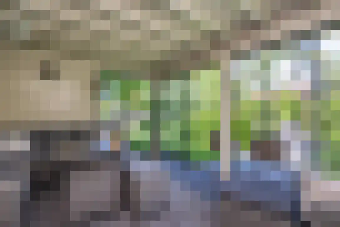Hoge Pad 17 Ouddorp thumbnail 62