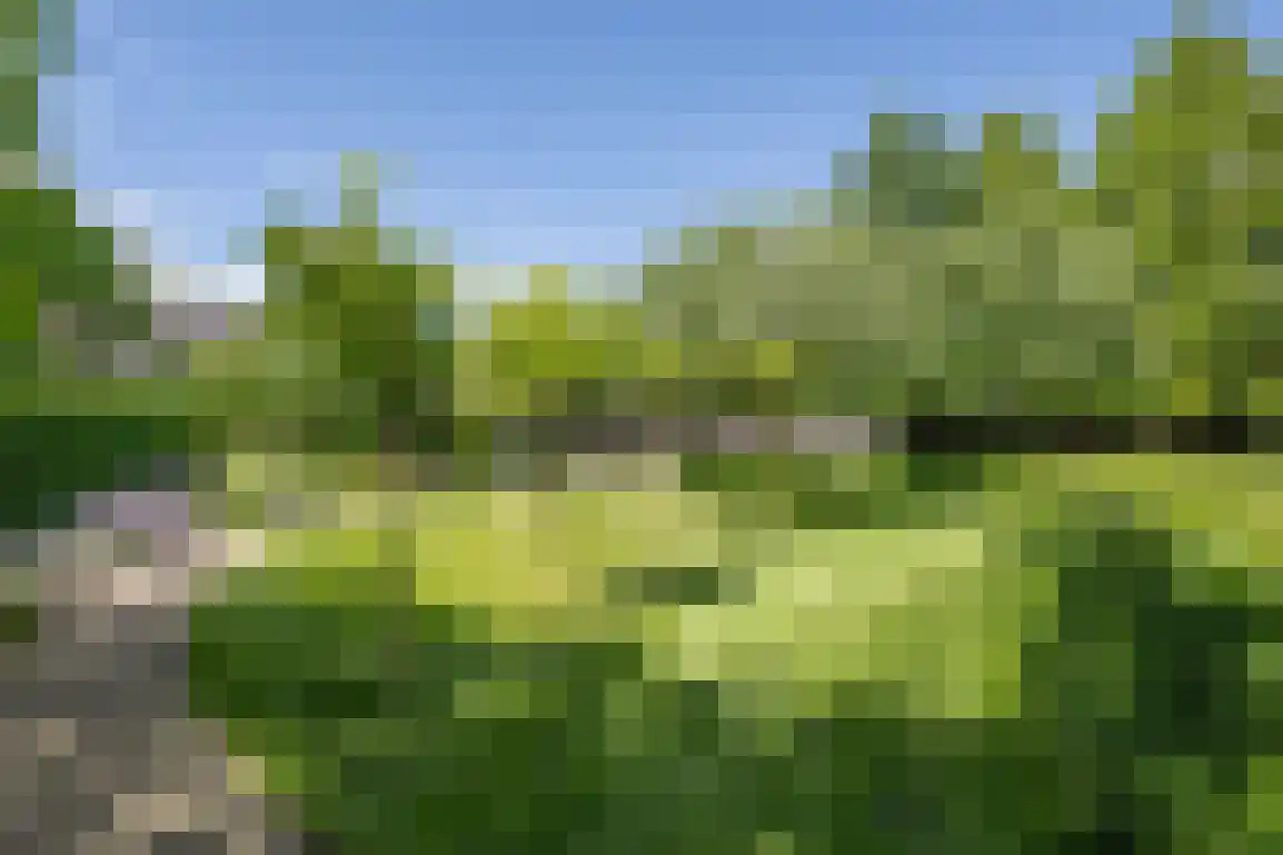 Hoge Pad 17 Ouddorp thumbnail 63