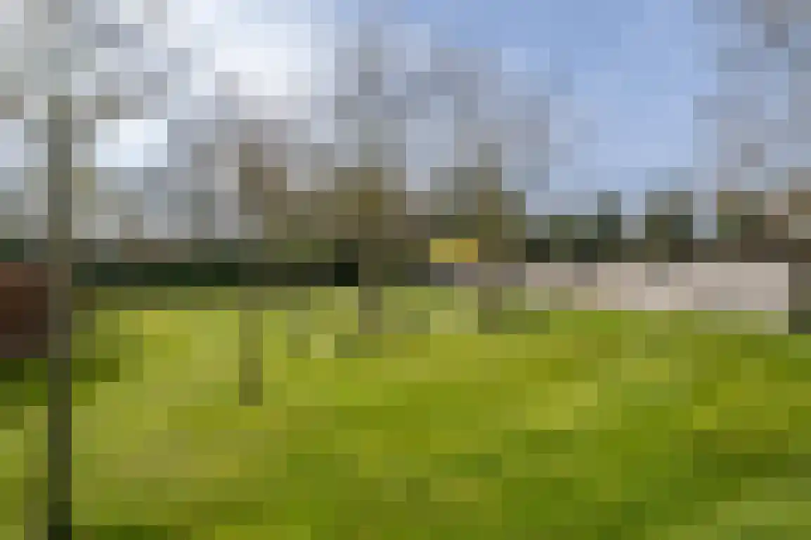 Hoge Pad 17 Ouddorp thumbnail 63