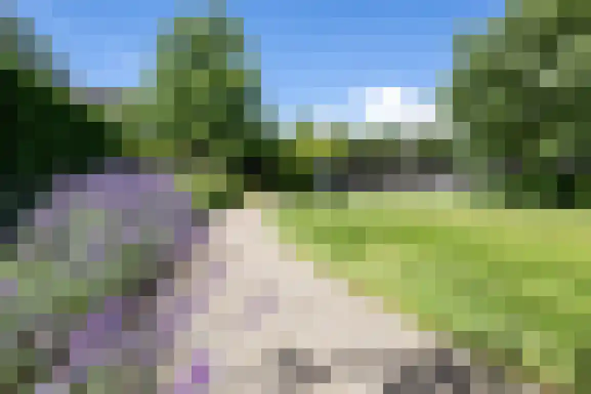 Hoge Pad 17 Ouddorp thumbnail 64