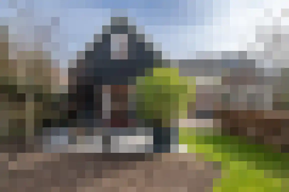 Hoge Pad 17 Ouddorp thumbnail 65