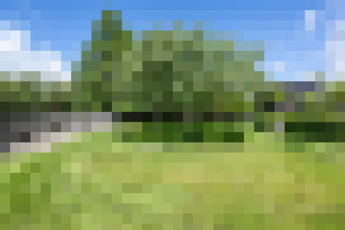 Hoge Pad 17 Ouddorp thumbnail 65