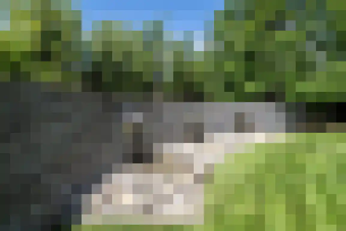 Hoge Pad 17 Ouddorp thumbnail 66