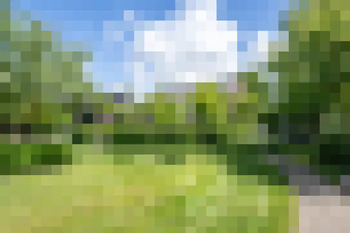 Hoge Pad 17 Ouddorp thumbnail 68