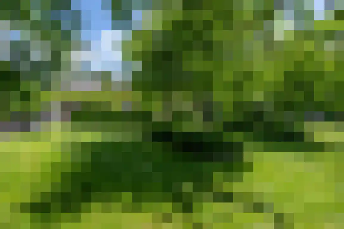 Hoge Pad 17 Ouddorp thumbnail 69