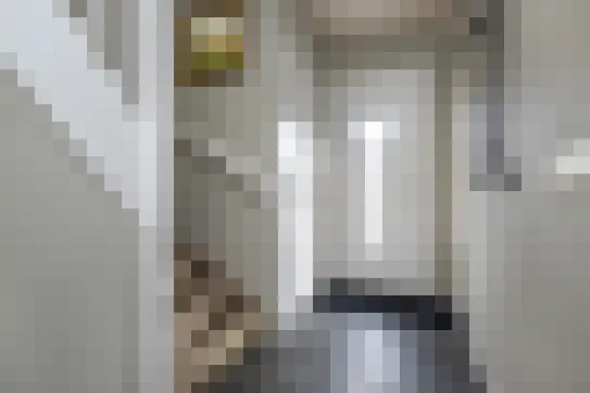 Hoge Pad 17 Ouddorp thumbnail 7