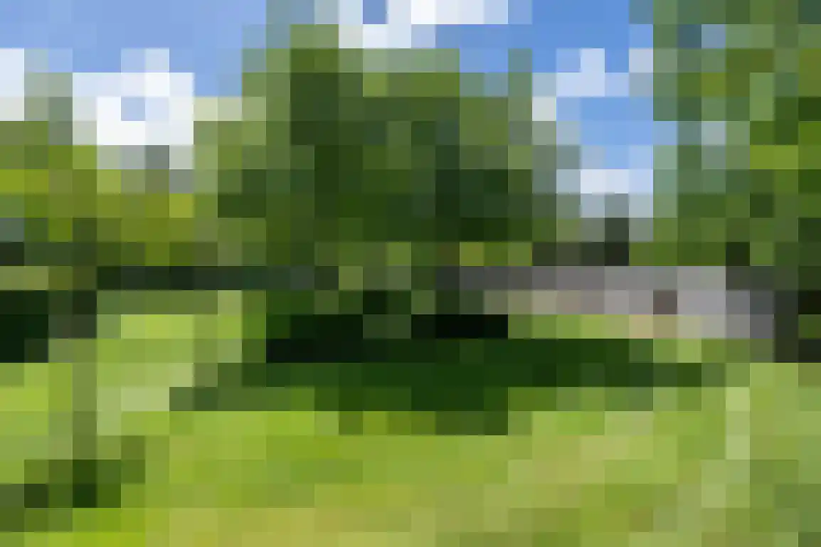 Hoge Pad 17 Ouddorp thumbnail 70