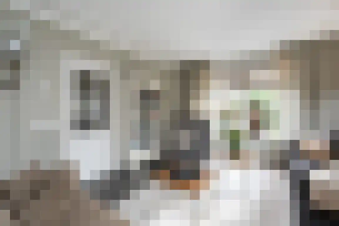 Hoge Pad 17 Ouddorp thumbnail 9