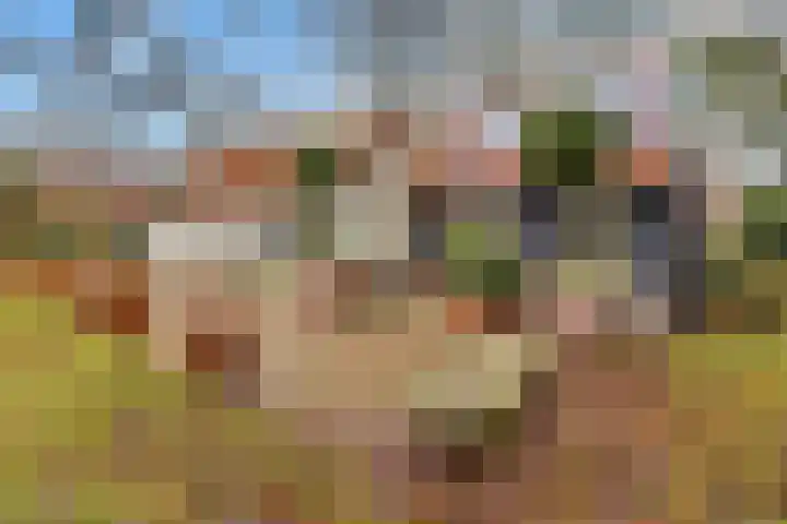 Hoge Pad 36 Ouddorp foto 2