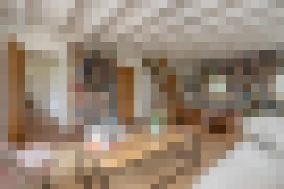 Hoge Pad 36 Ouddorp thumbnail 30