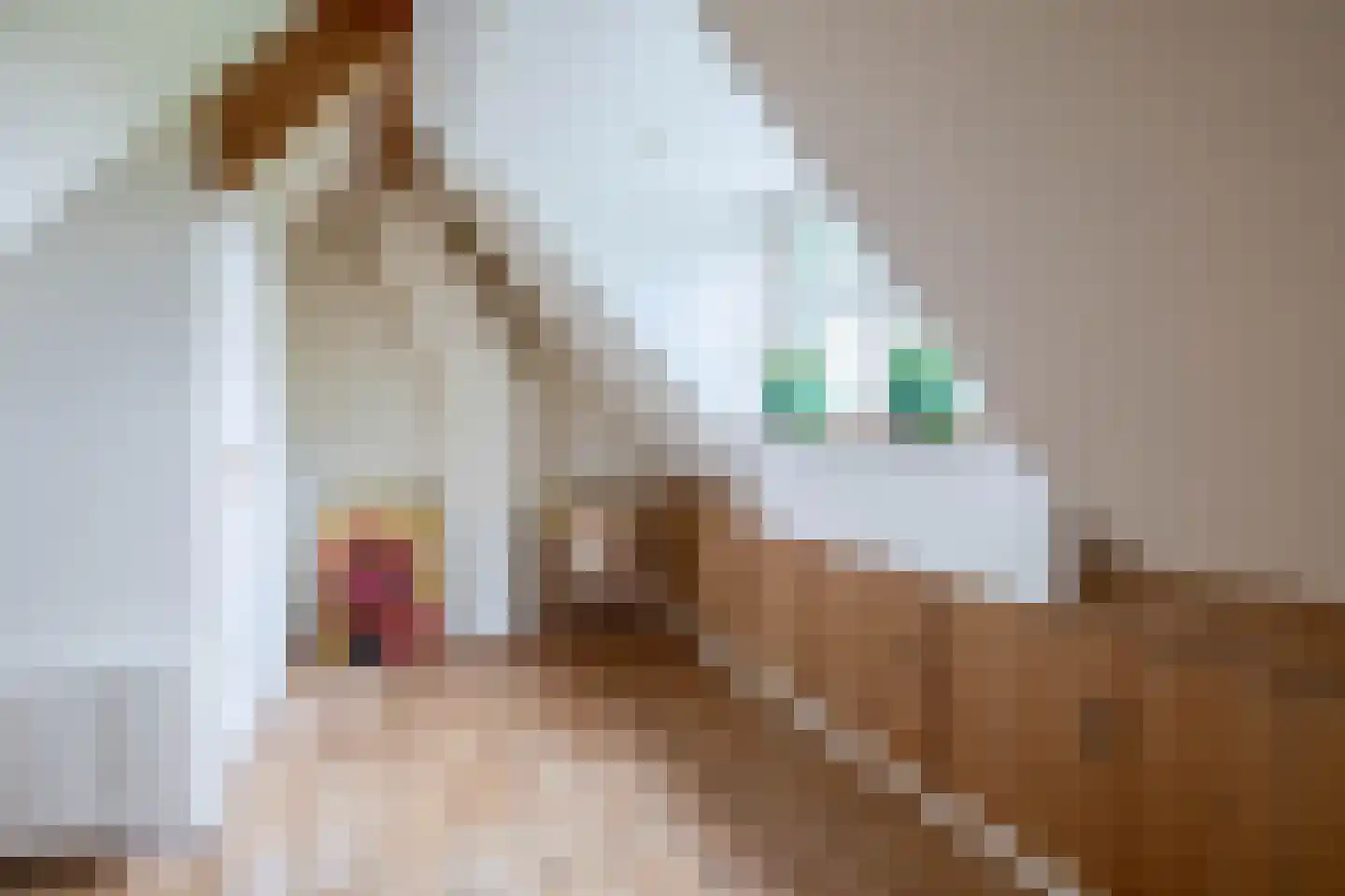 Hoge Pad 36 Ouddorp thumbnail 32