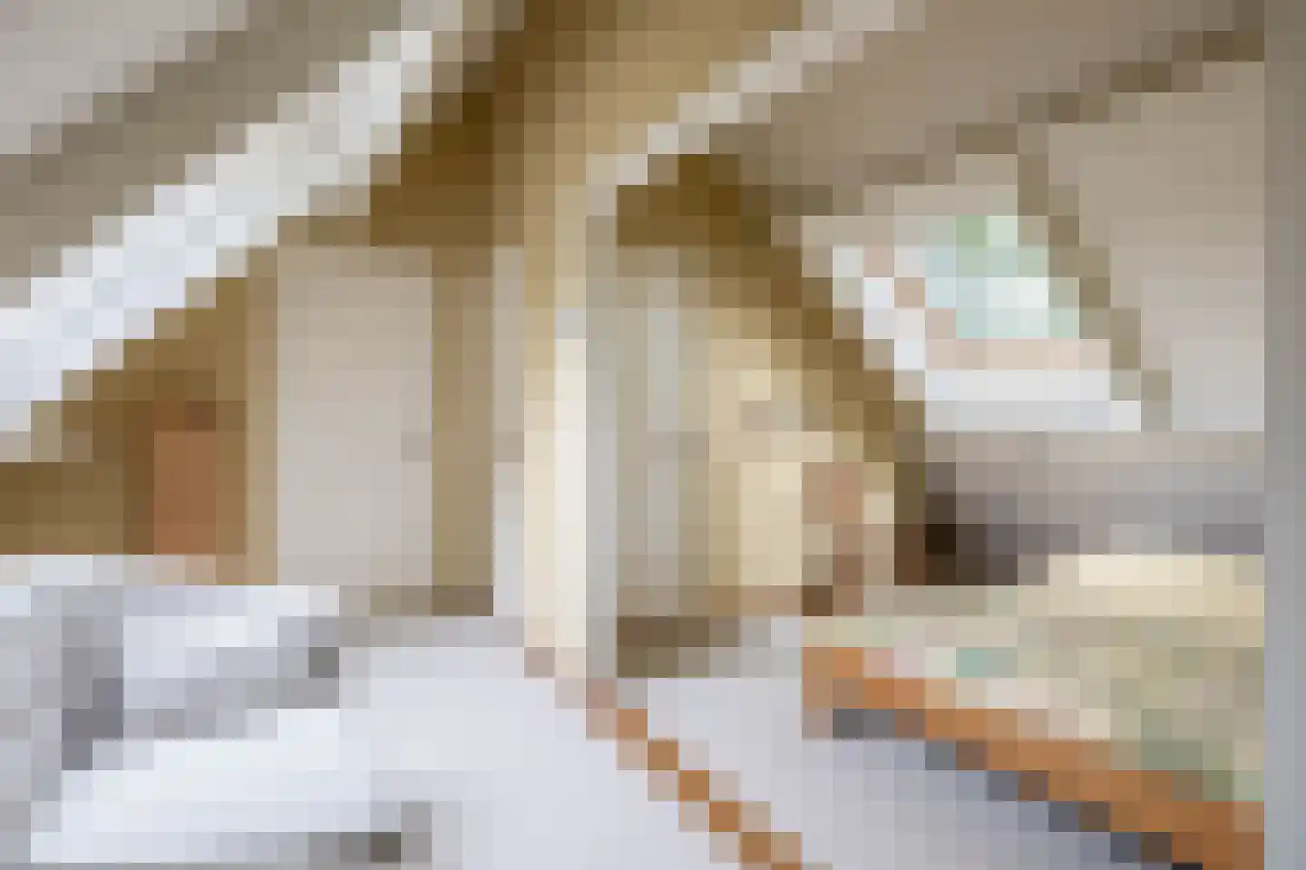 Hoge Pad 36 Ouddorp thumbnail 36