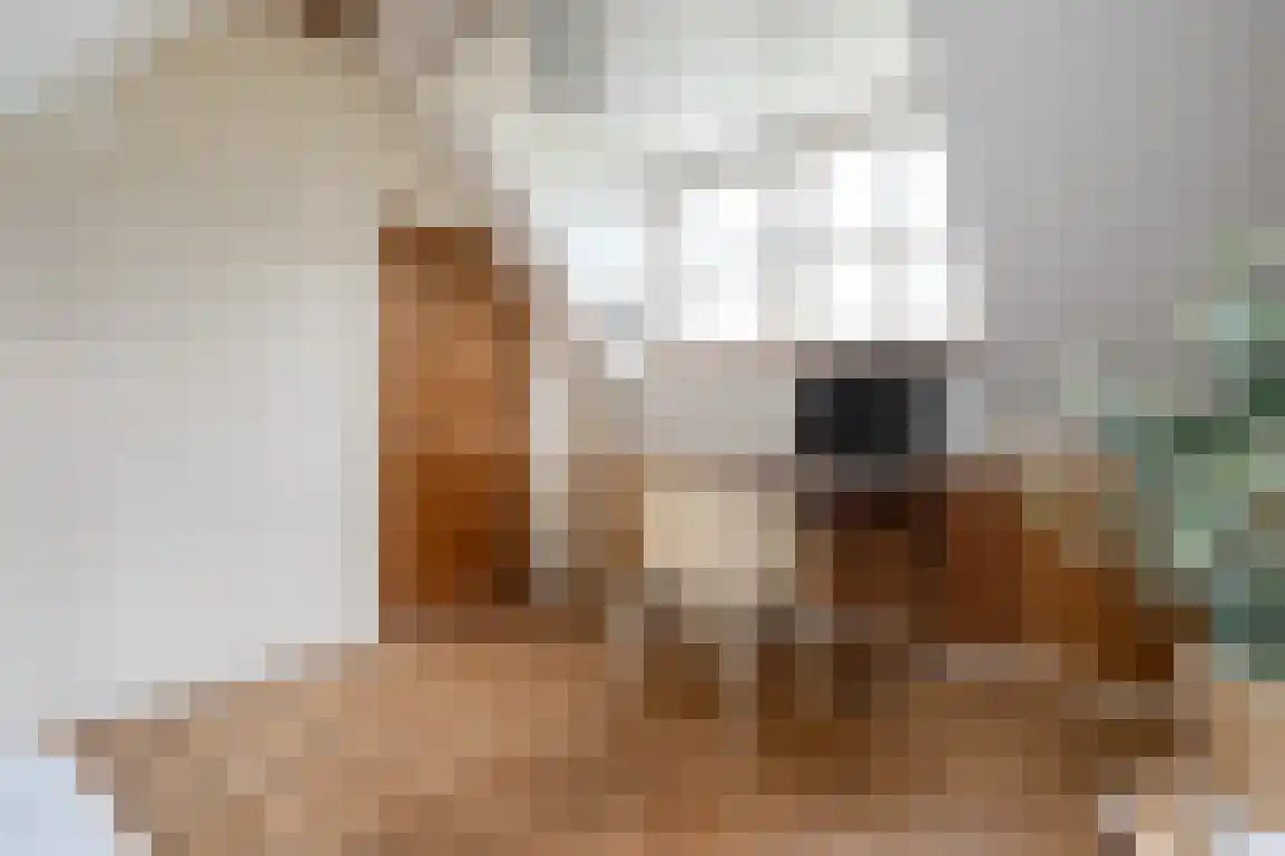 Hoge Pad 36 Ouddorp thumbnail 37