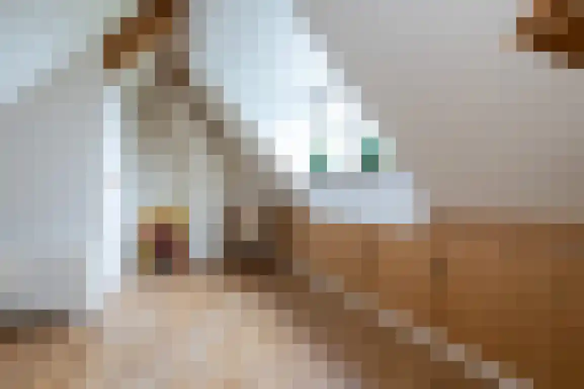 Hoge Pad 36 Ouddorp thumbnail 38