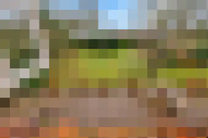 Hoge Pad 36 Ouddorp thumbnail 39