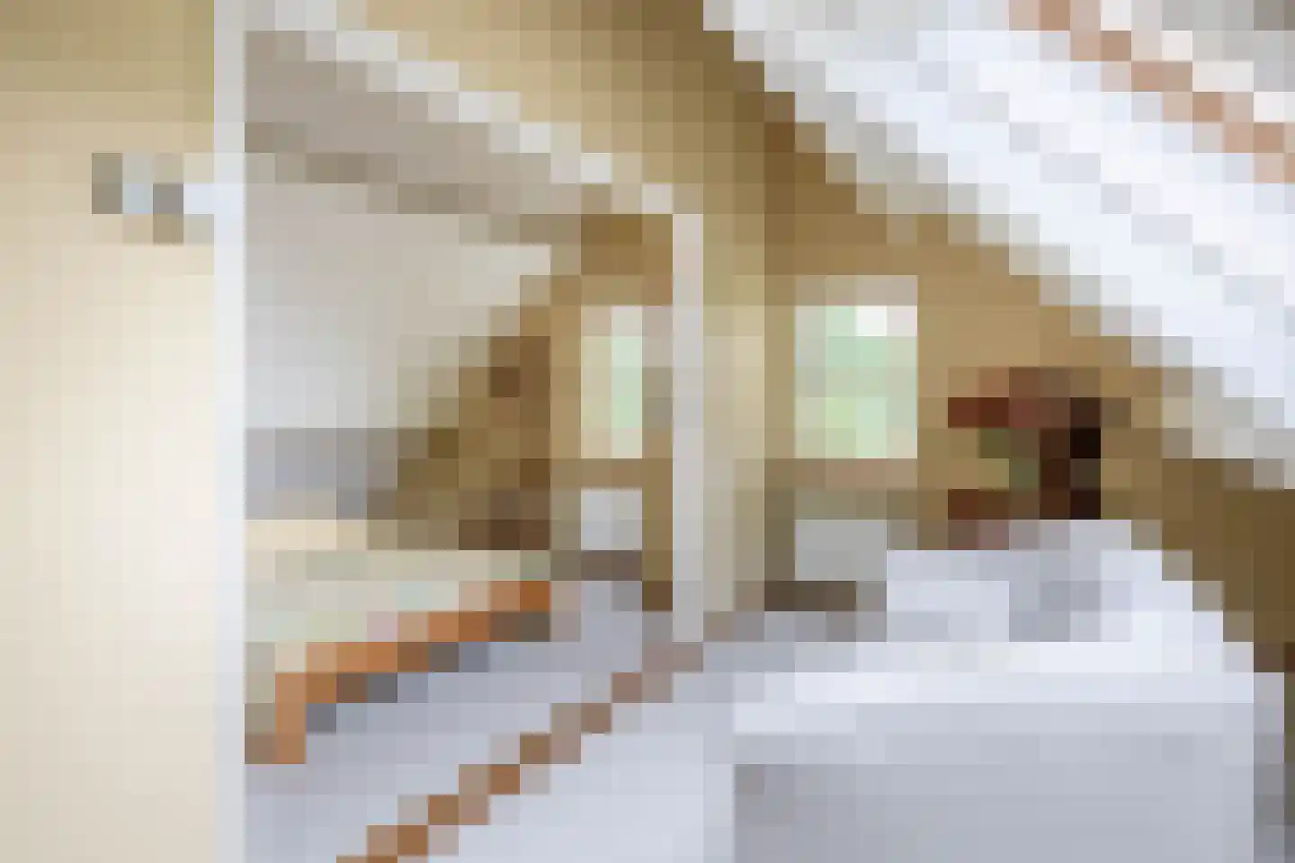 Hoge Pad 36 Ouddorp thumbnail 39