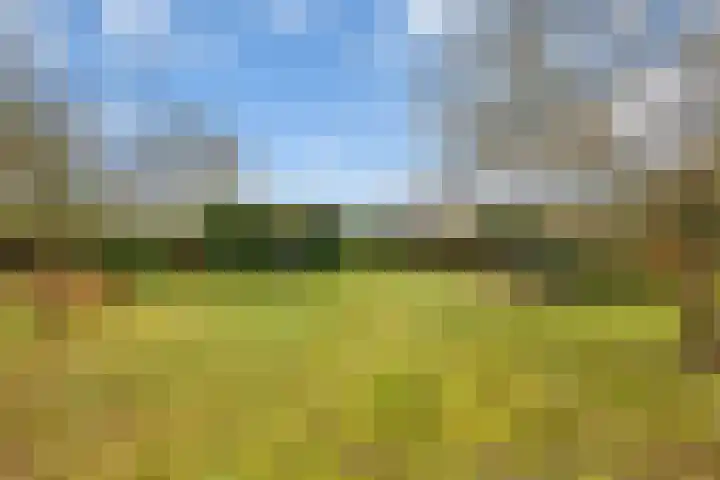 Hoge Pad 36 Ouddorp thumbnail 4
