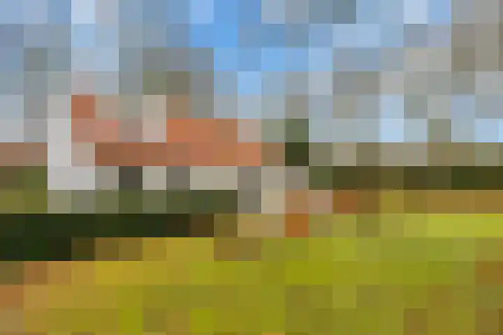 Hoge Pad 36 Ouddorp thumbnail 41