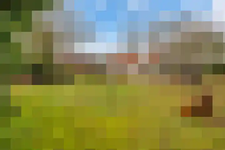 Hoge Pad 36 Ouddorp thumbnail 42