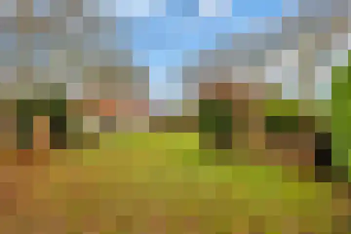 Hoge Pad 36 Ouddorp thumbnail 43