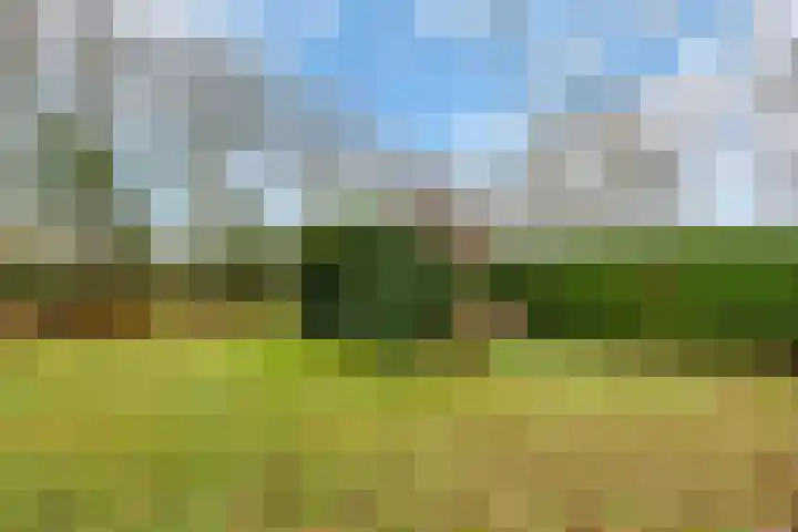 Hoge Pad 36 Ouddorp thumbnail 44