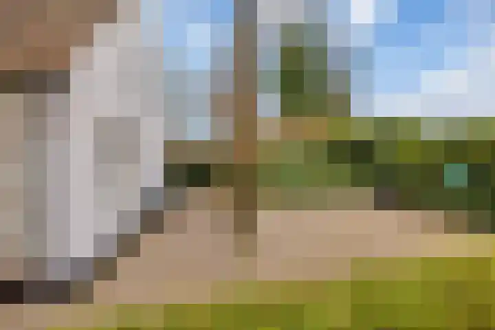 Hoge Pad 36 Ouddorp thumbnail 46