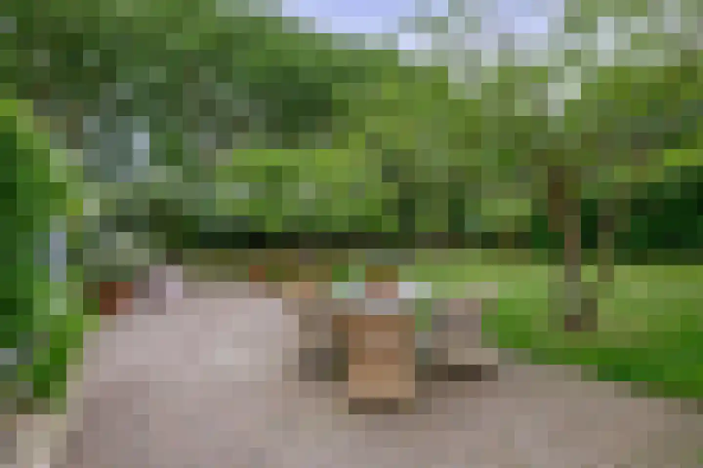 Hoge Pad 36 Ouddorp thumbnail 47
