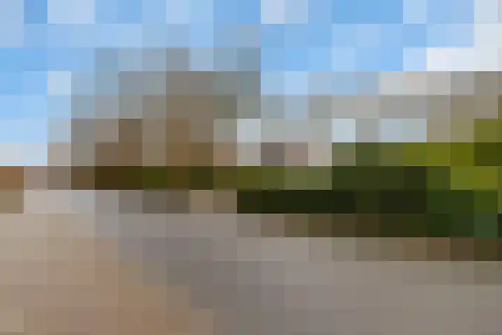Hoge Pad 36 Ouddorp thumbnail 48