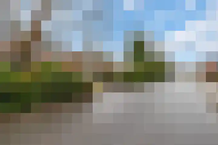 Hoge Pad 36 Ouddorp thumbnail 49