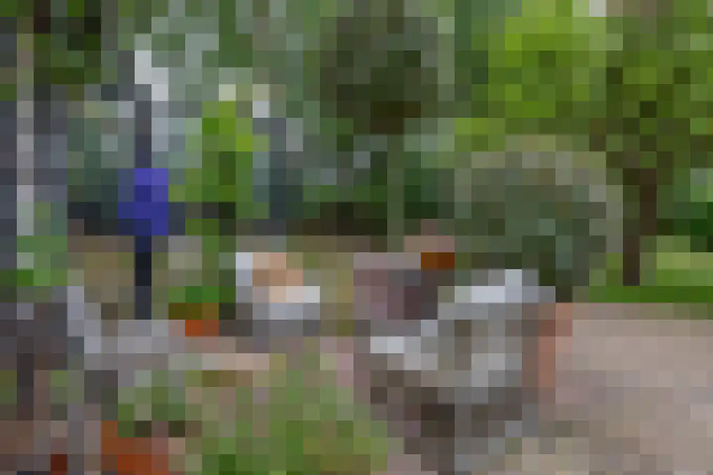 Hoge Pad 36 Ouddorp thumbnail 49