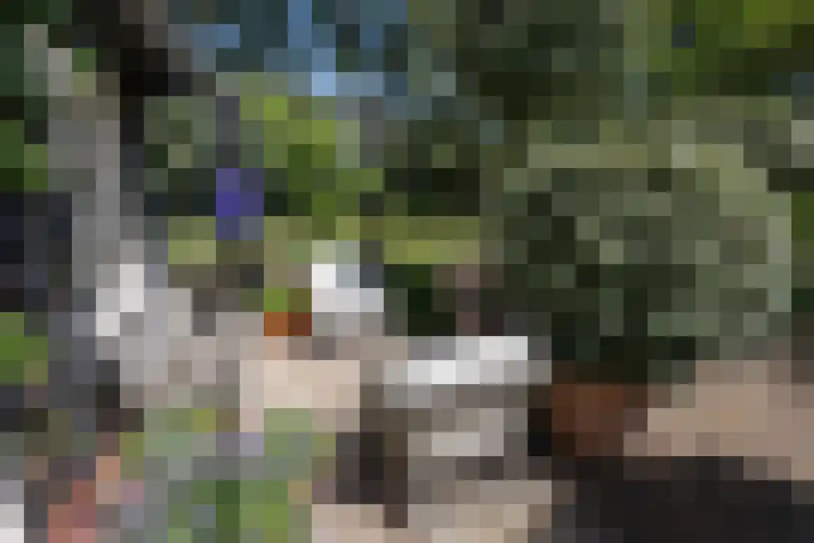 Hoge Pad 36 Ouddorp thumbnail 51