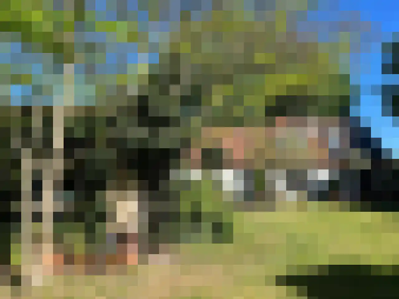 Hoge Pad 36 Ouddorp thumbnail 54