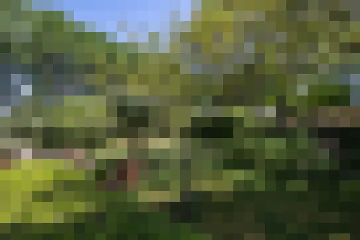 Hoge Pad 36 Ouddorp thumbnail 56