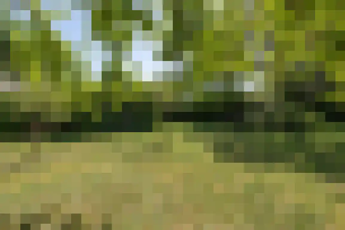 Hoge Pad 36 Ouddorp thumbnail 57