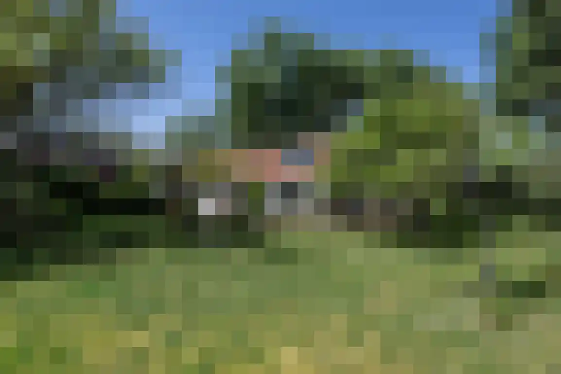 Hoge Pad 36 Ouddorp thumbnail 58