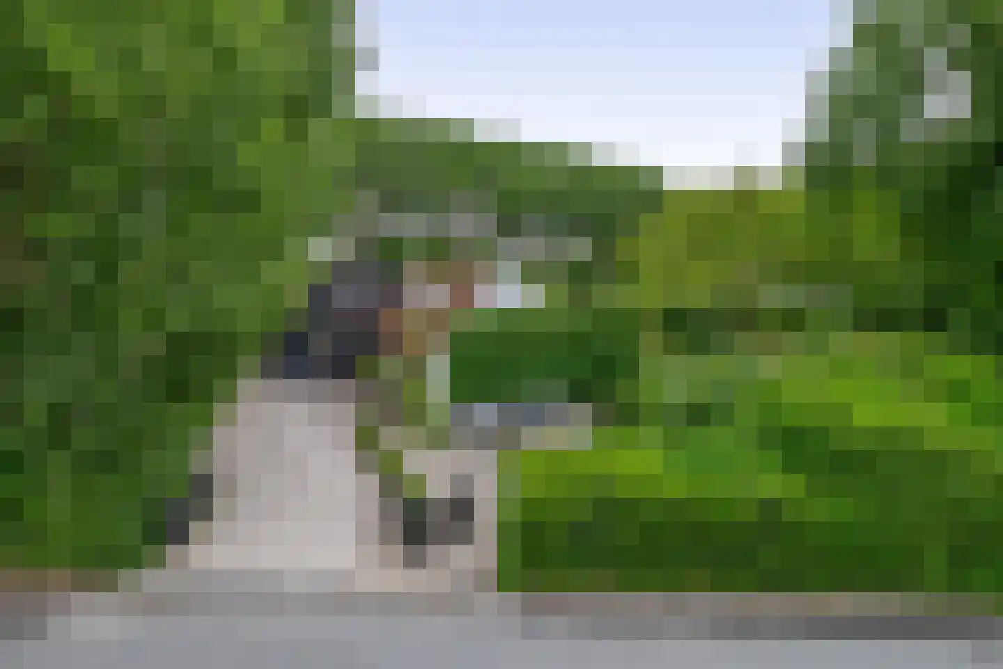 Hoge Pad 36 Ouddorp thumbnail 58