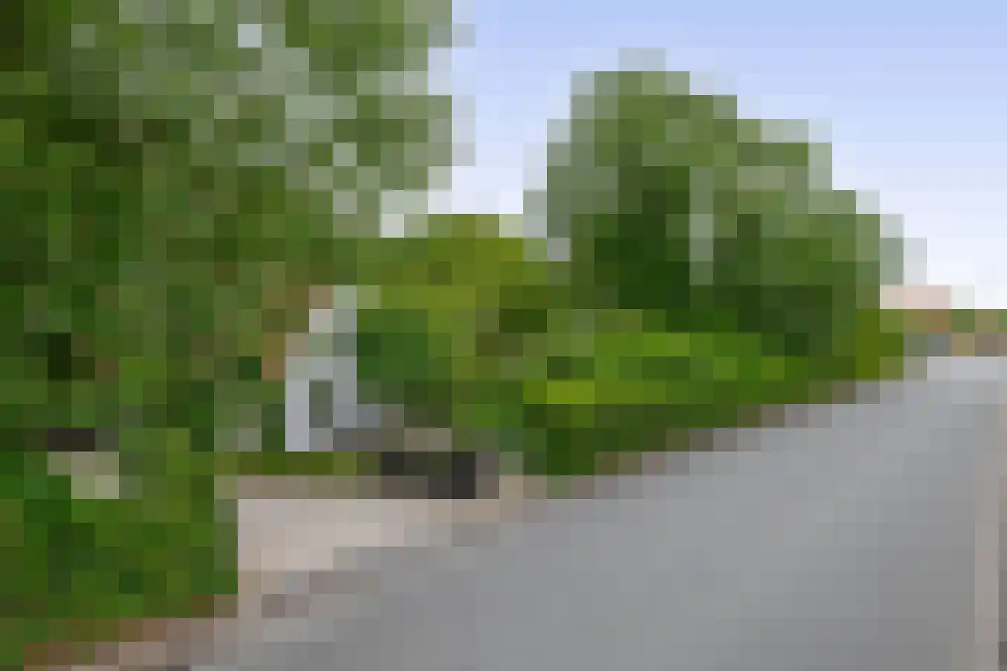 Hoge Pad 36 Ouddorp thumbnail 59