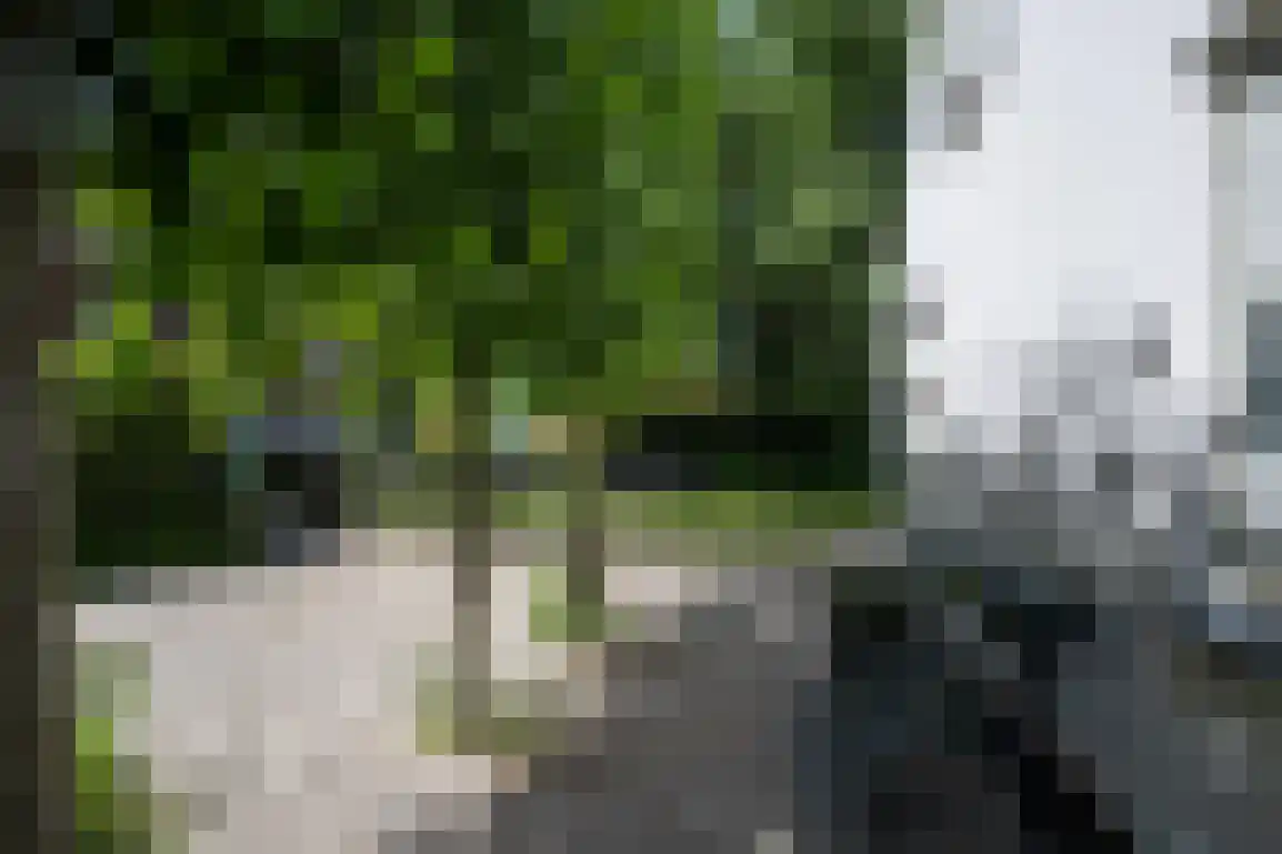 Hoge Pad 36 Ouddorp thumbnail 59