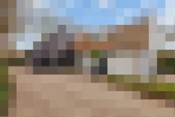 Hoge Pad 36 Ouddorp thumbnail 6