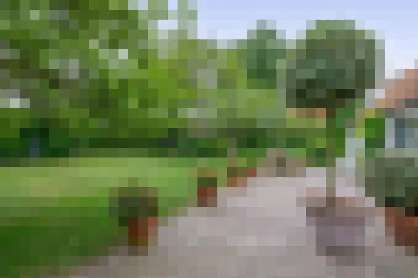 Hoge Pad 36 Ouddorp thumbnail 6